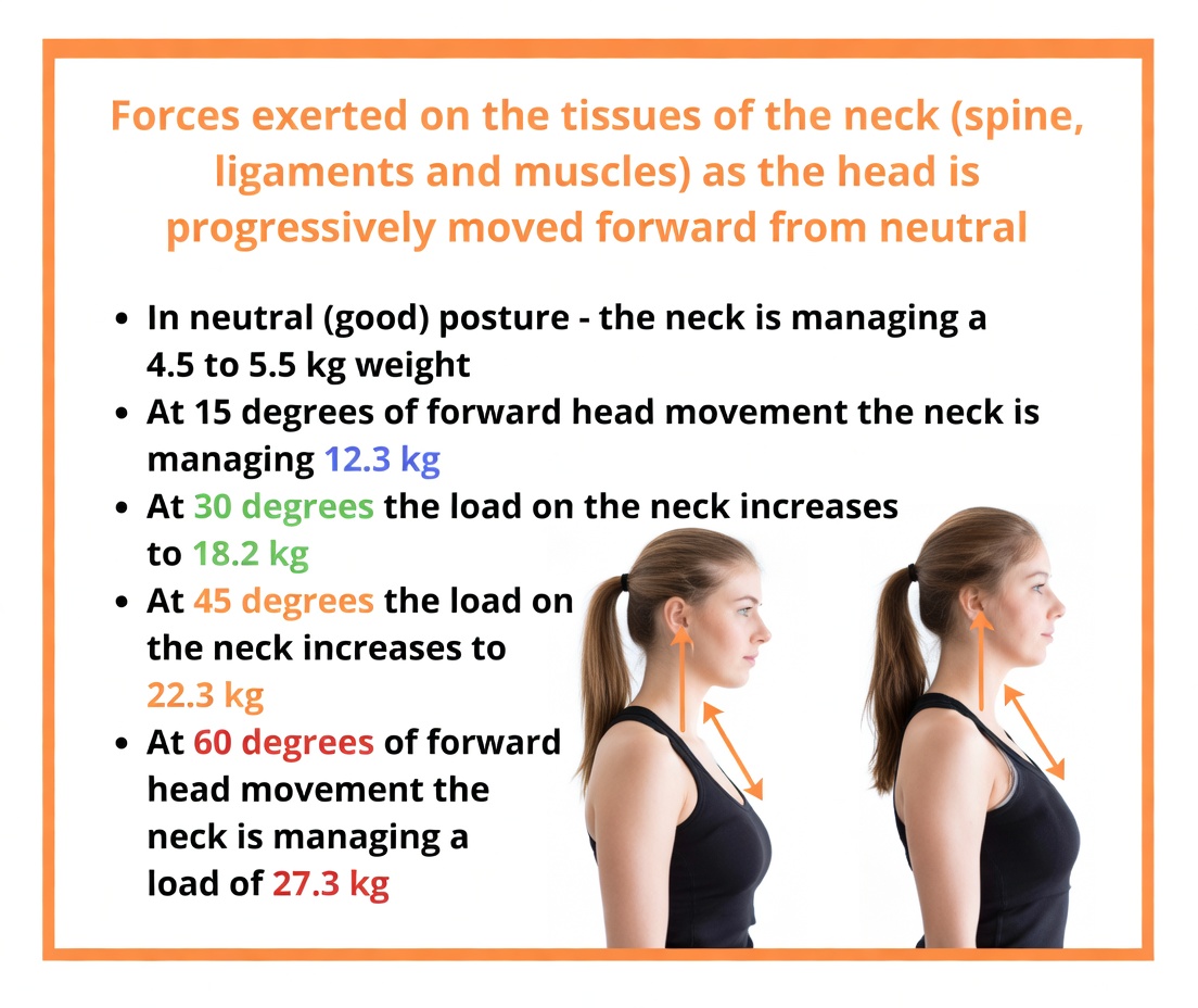Understanding Forward Head Posture and Why It Matters After 60