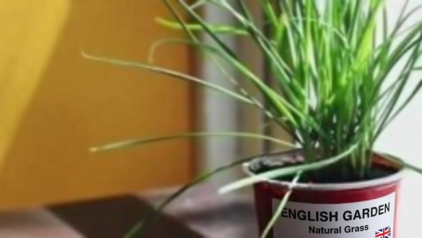 Why You Should Embrace Purslane in Your Garden: 8 Compelling Reasons