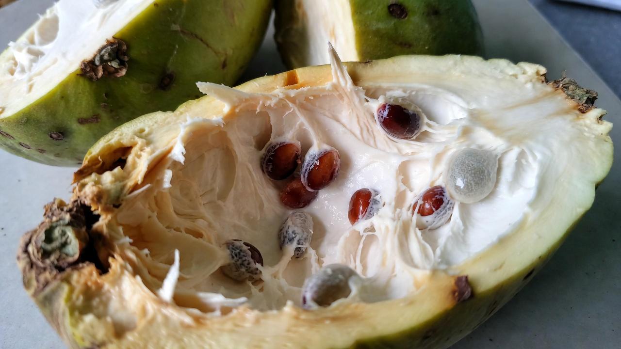 Cherimoya: 10 Simple Ways to Add This Creamy Tropical Fruit for Better Antioxidant Support in Your Later Years