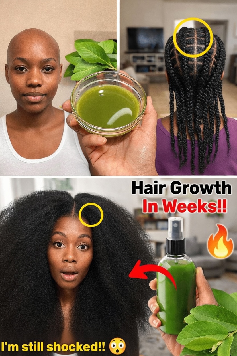 Can Guava Leaves Support Healthier Hair? Exploring the Potential Benefits and How to Use Them