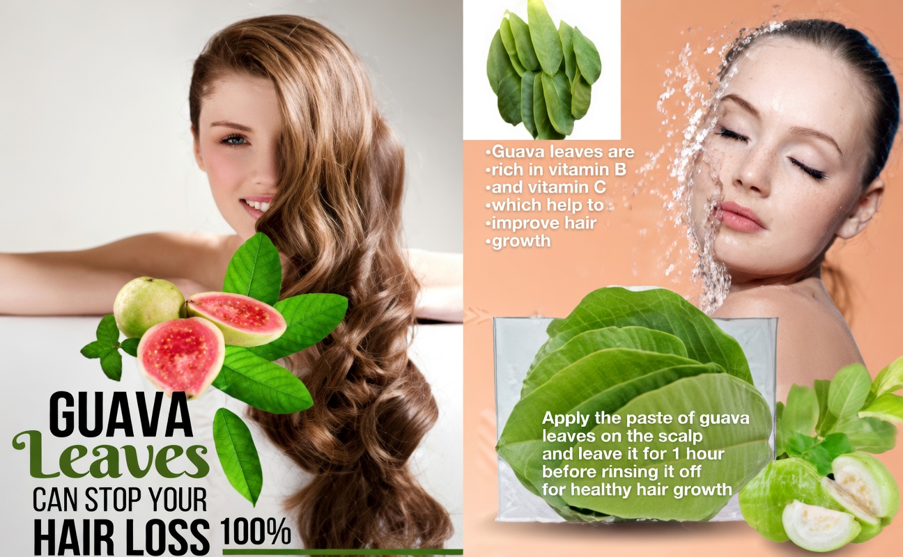 Can Guava Leaves Support Healthier Hair? Exploring the Potential Benefits and How to Use Them