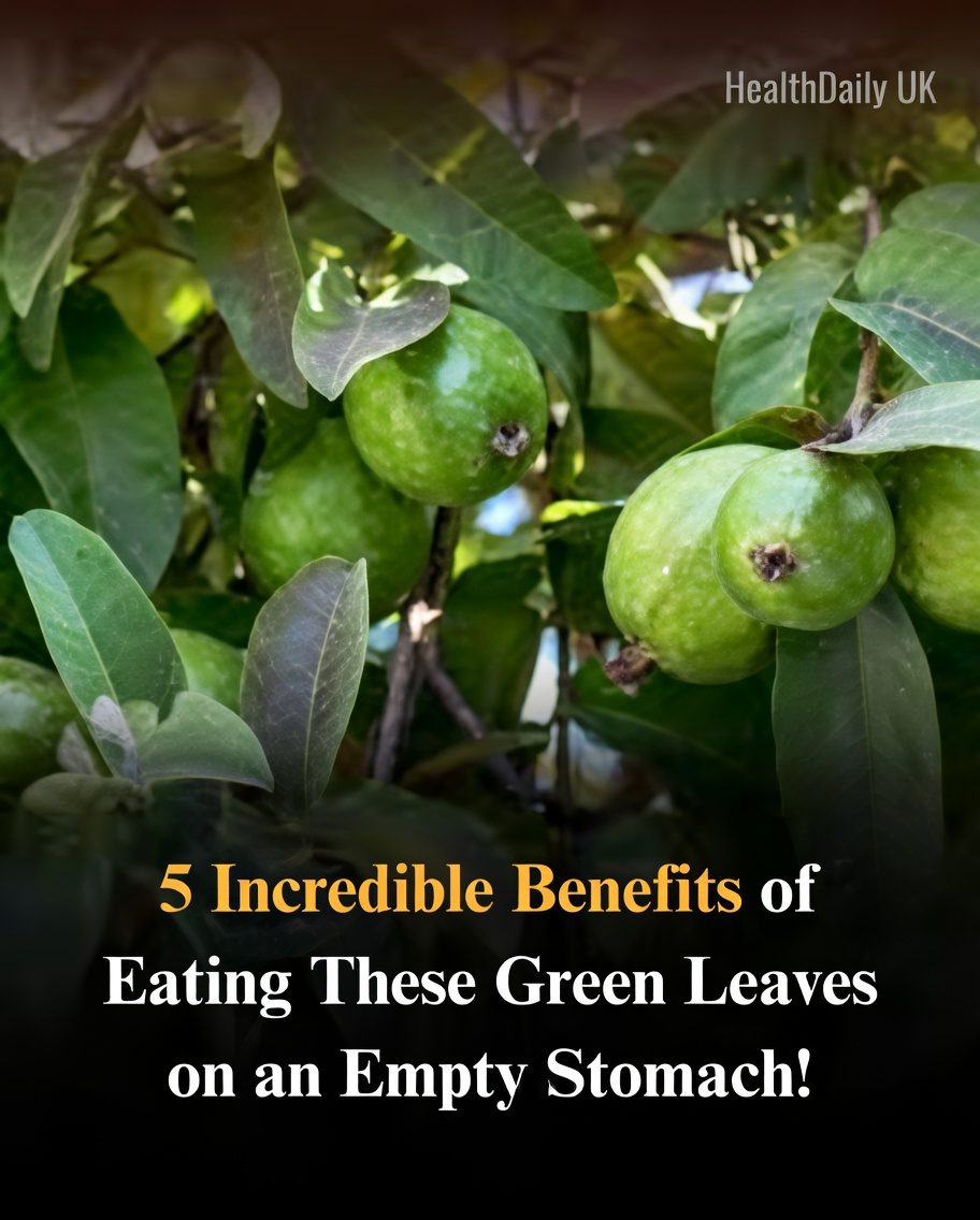 Can Guava Leaves Support Healthier Hair? Exploring the Potential Benefits and How to Use Them