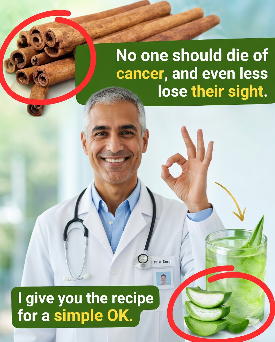 🌿🍯 Recettes Santé à la Cannelle et à l’Aloe Vera : Des Boissons Naturelles qui Transforment Votre Bien-être