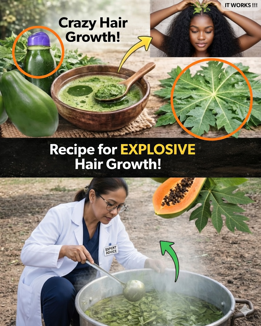 🌿 « Découvrez le pouvoir des feuilles… » : ce que ces plantes médicinales apportent réellement (sans tomber dans les mythes)