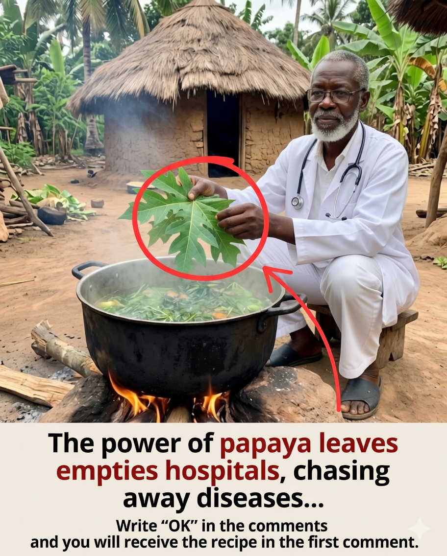 Feuilles de papayer bouillies : bienfaits réels, préparation et ce que dit la science