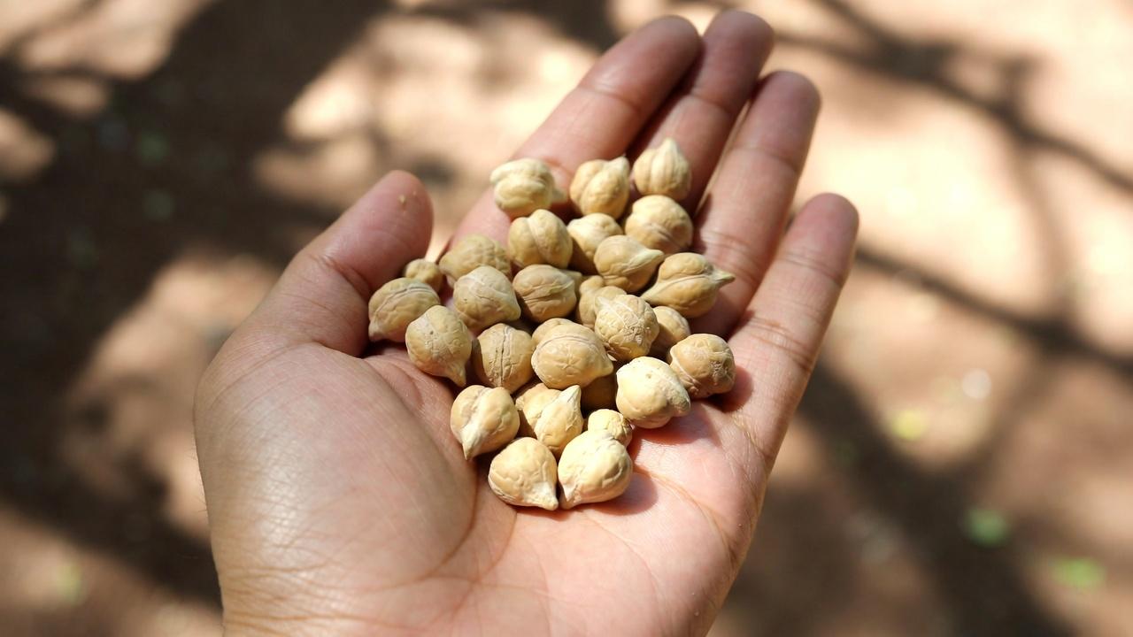 Seniors: 6 Proteins to Limit and 4 Safer Choices If You Have Kidney Concerns