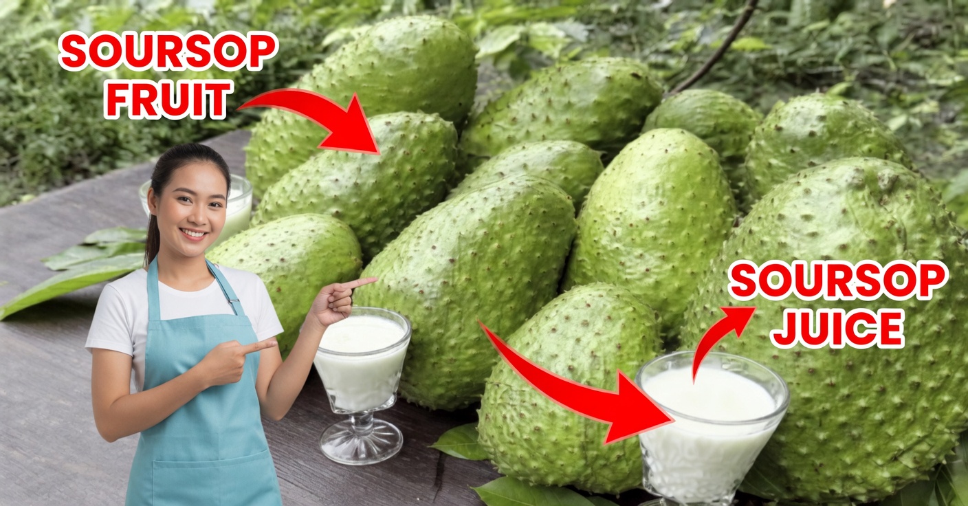 Guanábana contra el cáncer: receta y beneficios