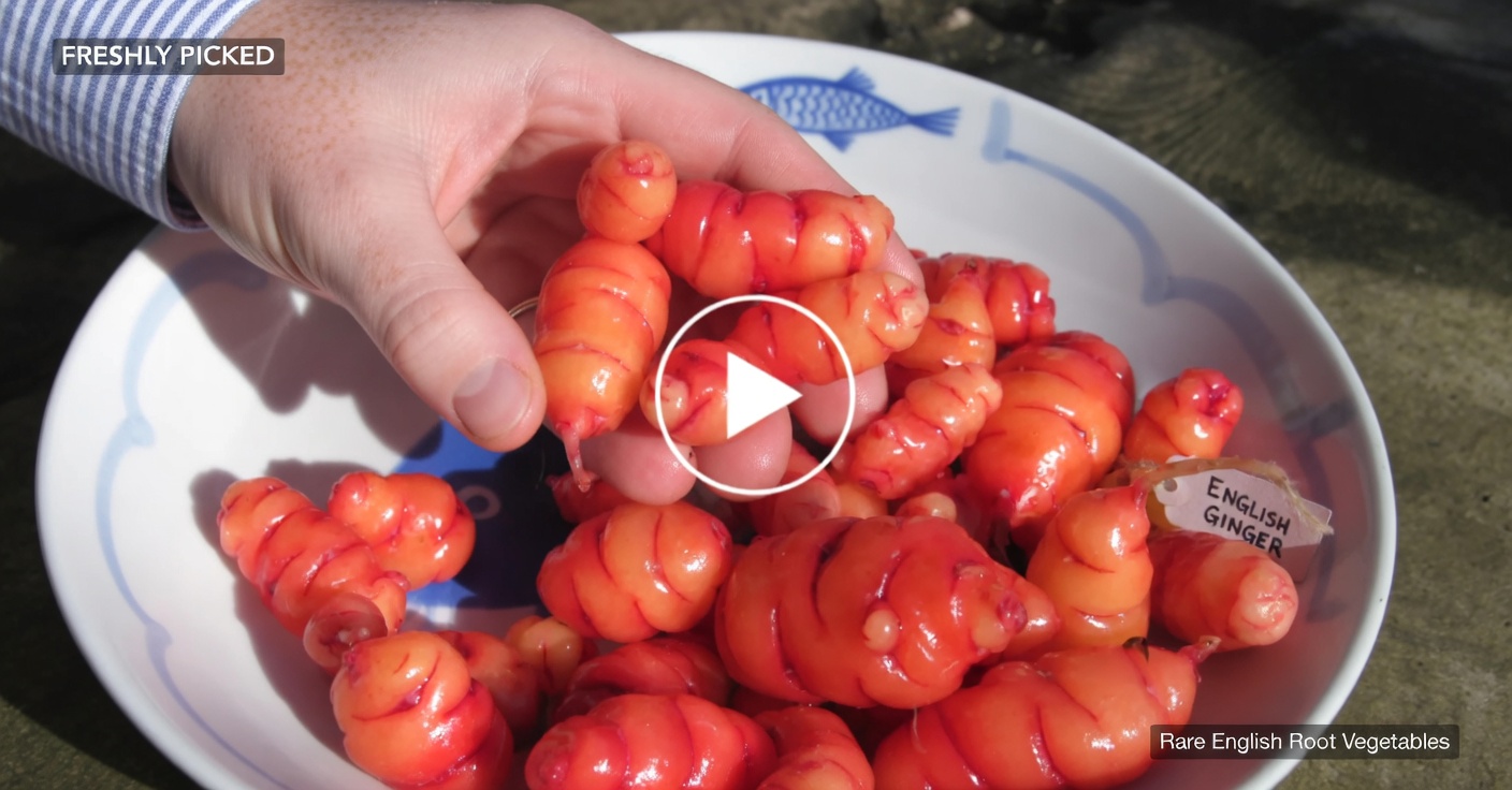 Chickpeas and Eggs: A Protein-Packed, Meat-Free Alternative