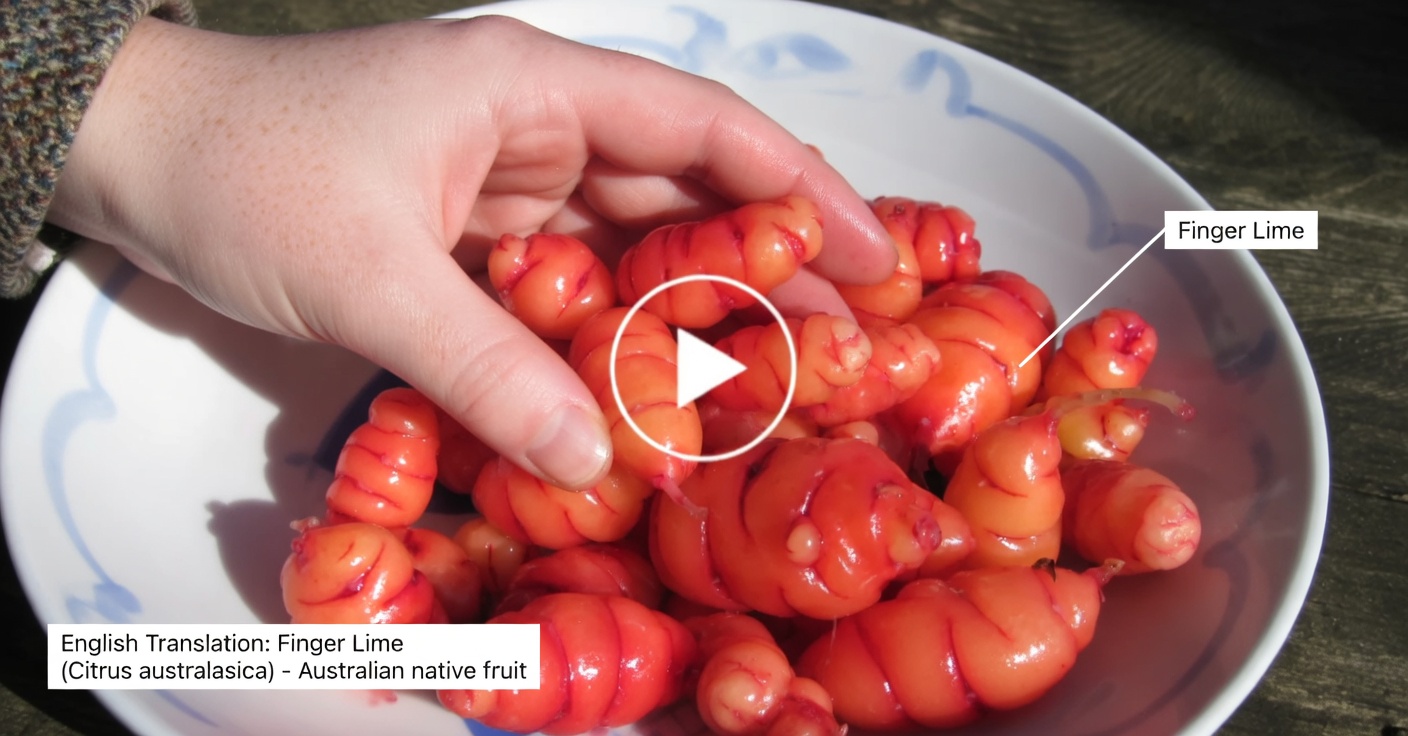 Discover the Natural Weight Loss Benefits of Hibiscus Tea