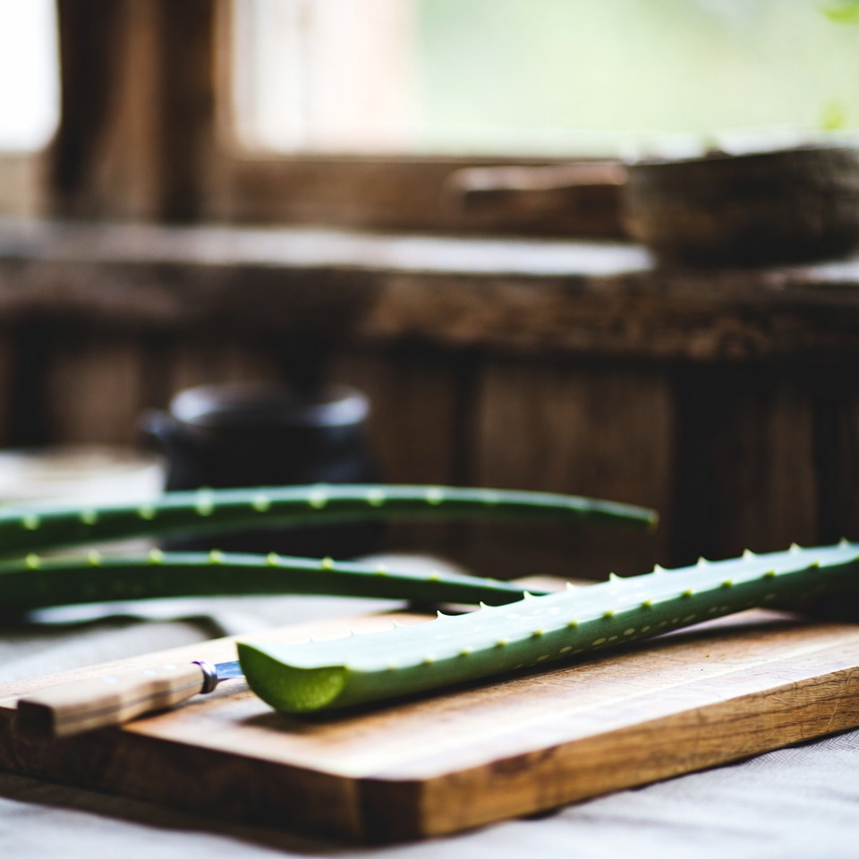 Aloe Vera Recipe to Improve and Protect Eye Health