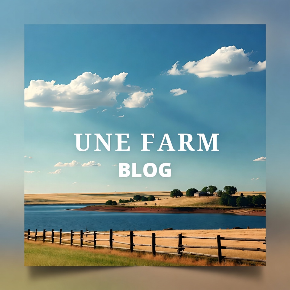 107-Year-Old Woman Reveals Her Secret Anti-Aging Drink