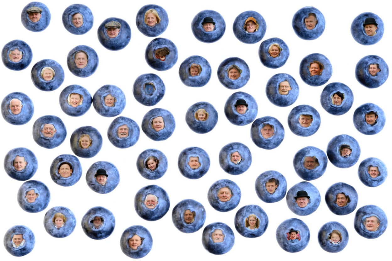 7 Frutas Nocturnas que Protegen tus Musculos Después de los 60 (Frena la Sarcopenia Naturalmente)