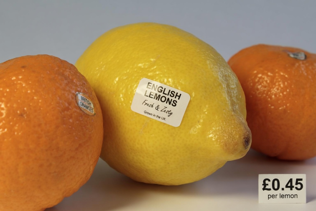 REGENERA tu CARTÍLAGO en SOLO 24 HORAS con el SECRETO que revela un médico ORTOPEDISTA