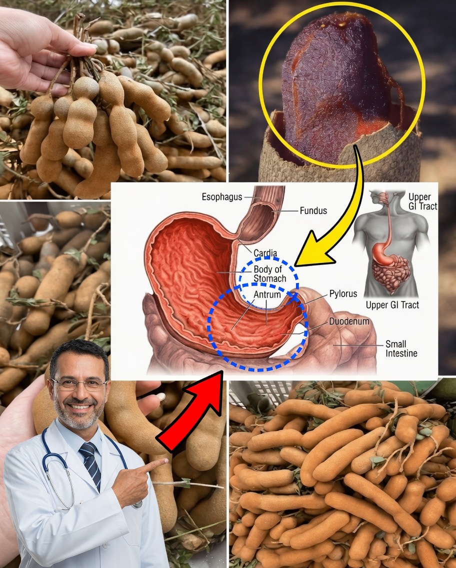 12 Powerful Reasons to Add Tamarind to Your Daily Routine After 50