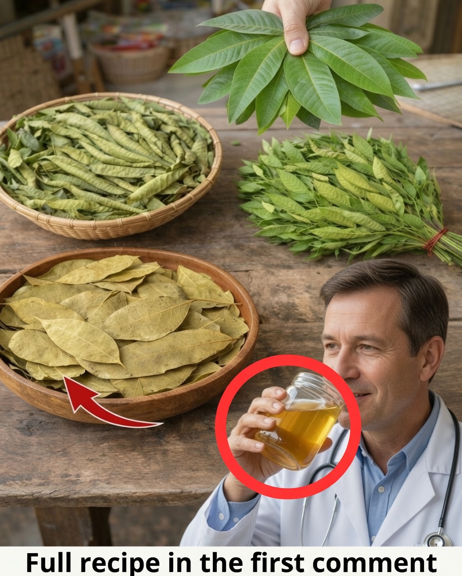 The Four Medicinal Leaves: Avocado, Mango, Bay Leaf, and Guava — A Gift from Nature for Your Well-Being