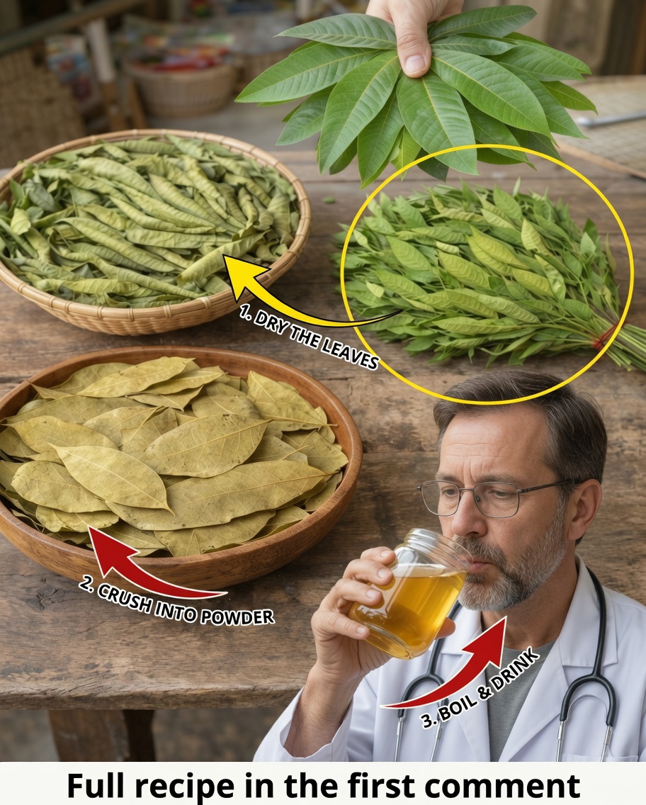 The Four Medicinal Leaves: Avocado, Mango, Bay Leaf, and Guava — Nature’s Gift for Your Well-Being