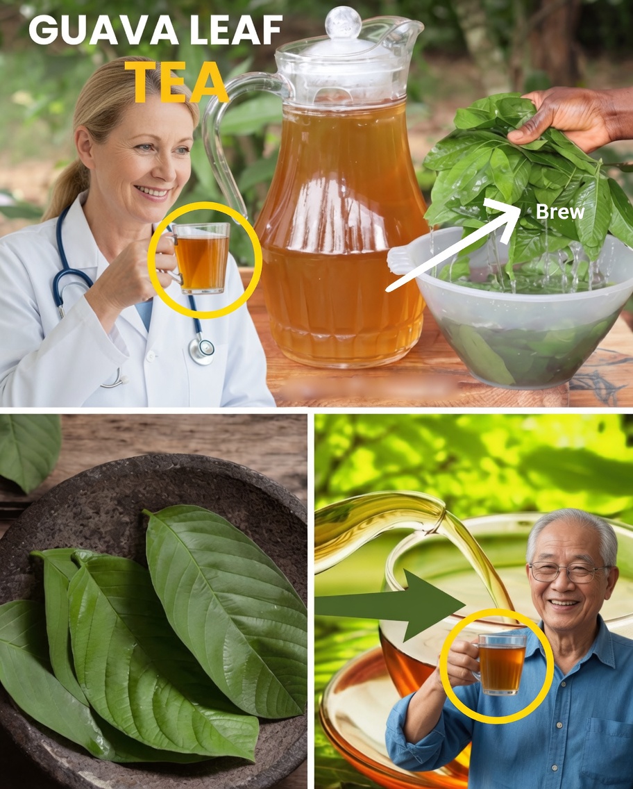 Guava Leaf Tea: A Simple Daily Ritual to Restore Your Energy, Digestion, and Glow