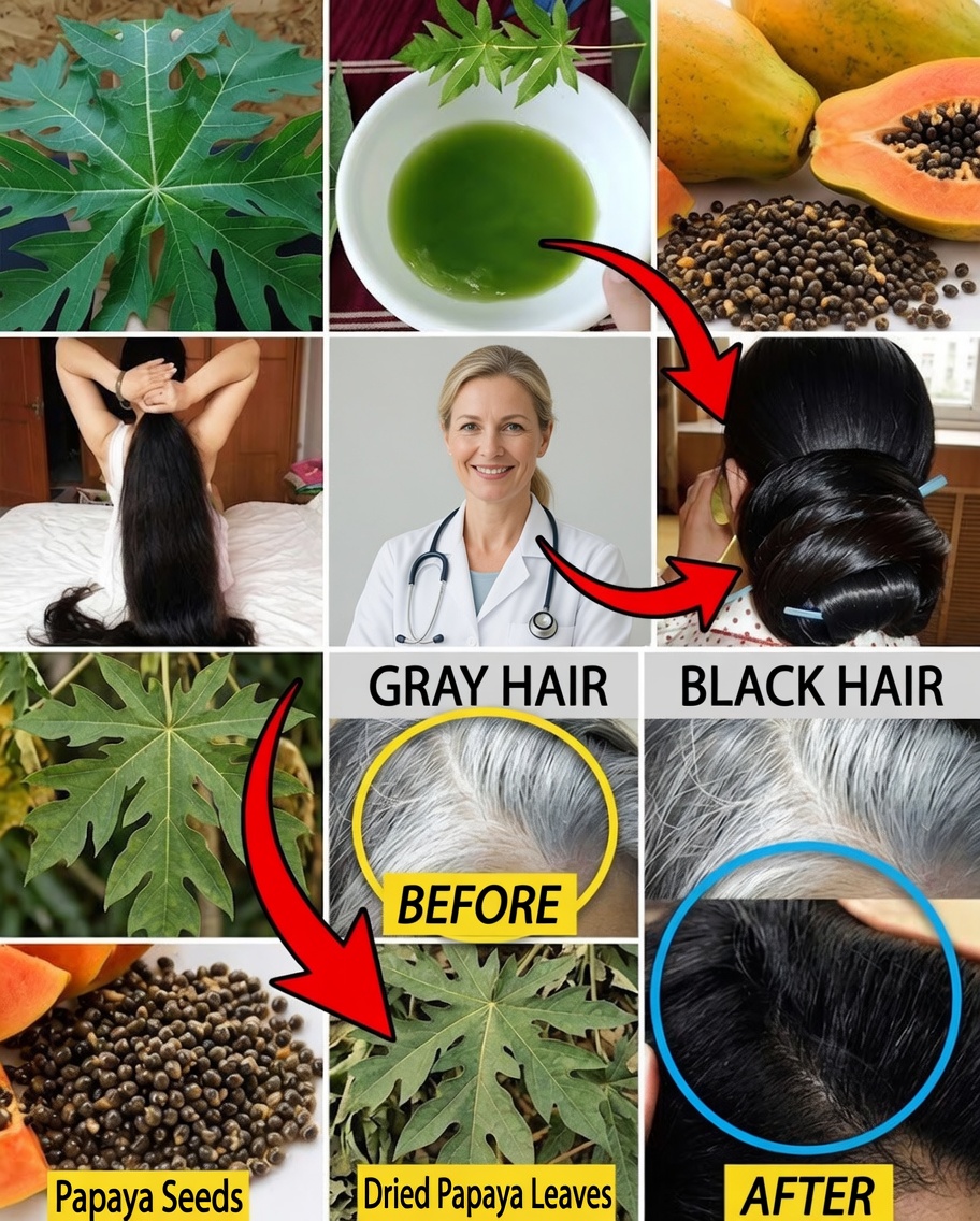 Papaya Leaves for Youthful Hair: A Natural Path to Darker, Stronger, Radiant Strands