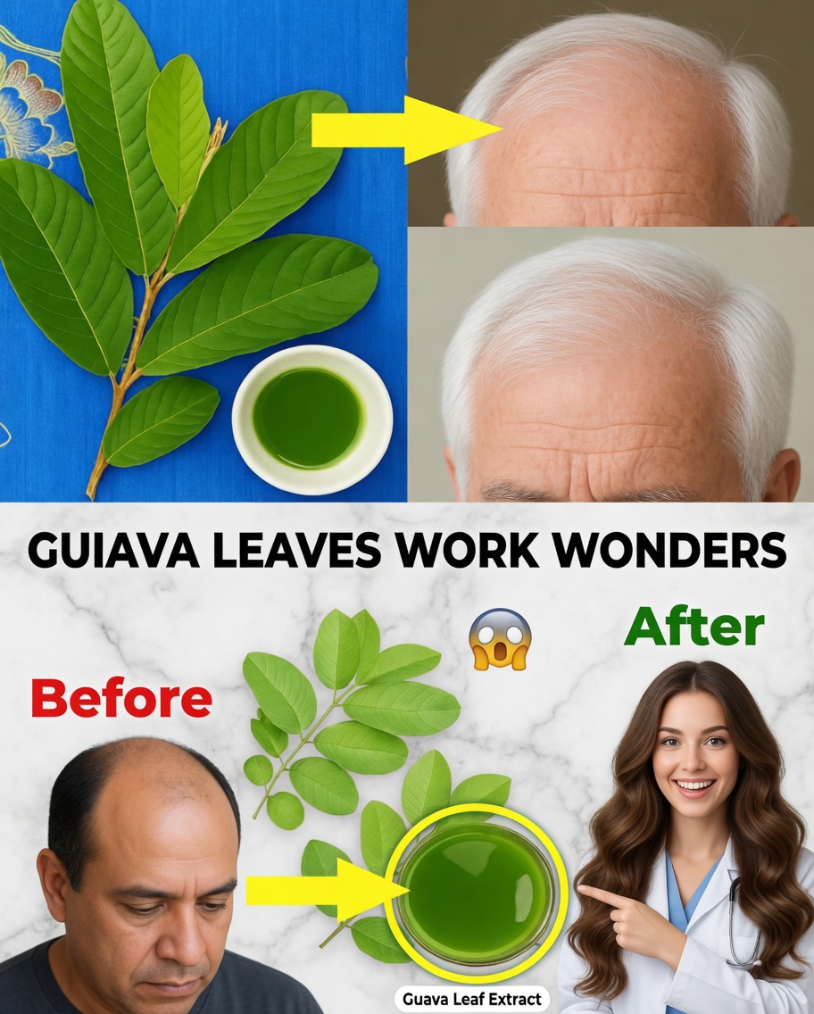 From Roots to Tips: Guava Leaves to Renew Hair