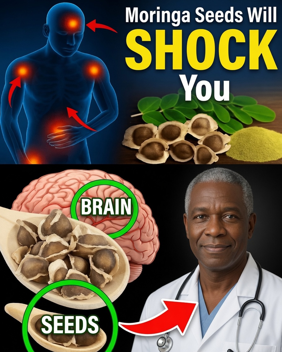 Why Moringa Seeds Are a Hidden Treasure for Your Health