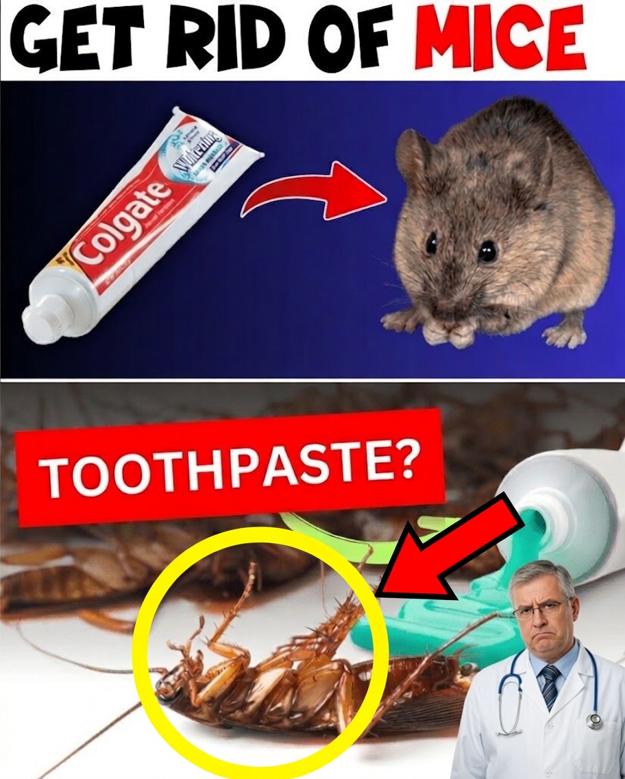 The Surprising Toothpaste Trick That Helps Keep Household Pests Away Naturally