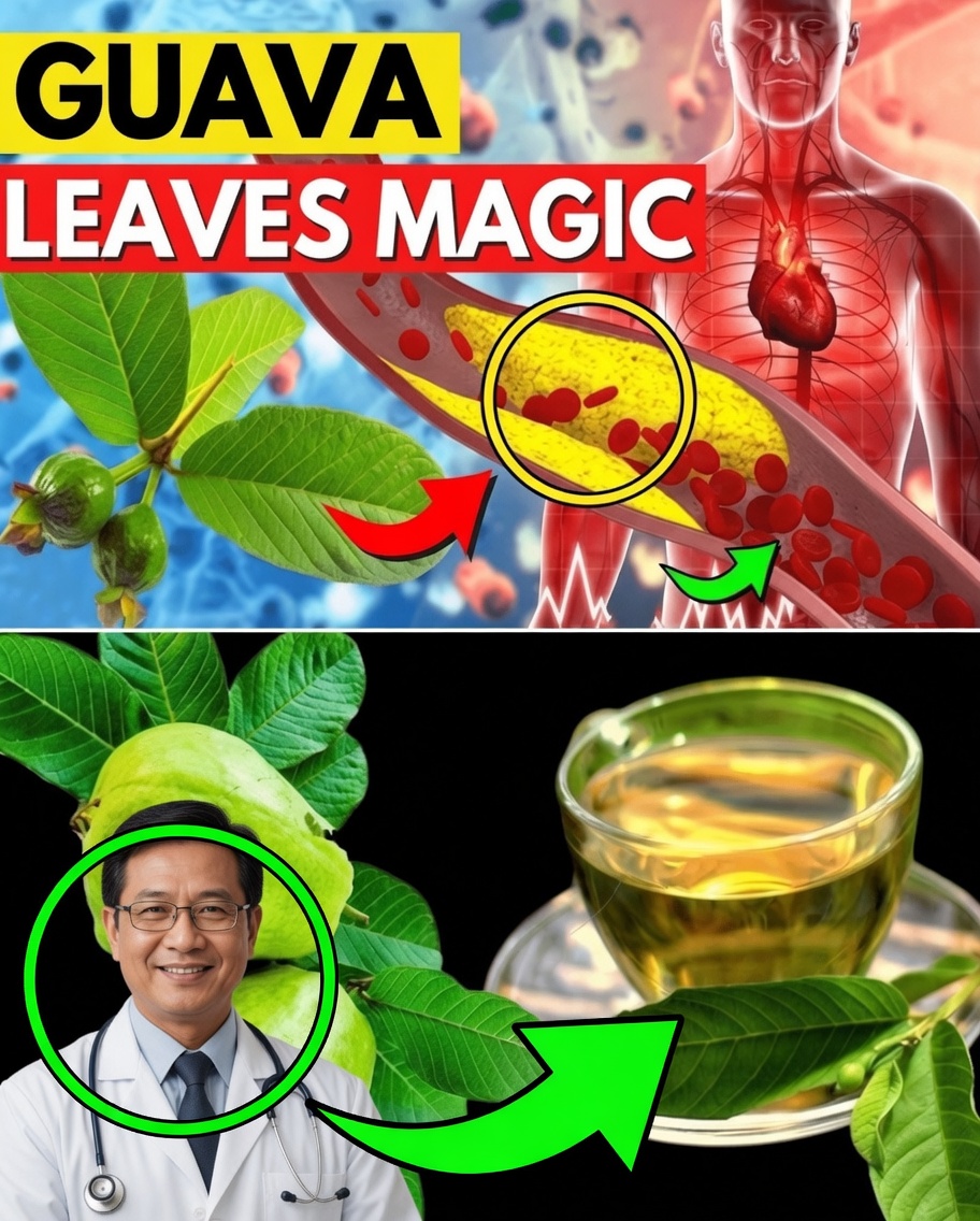 17 Powerful Reasons to Drink Guava Leaf Tea Twice a Week for Better Health